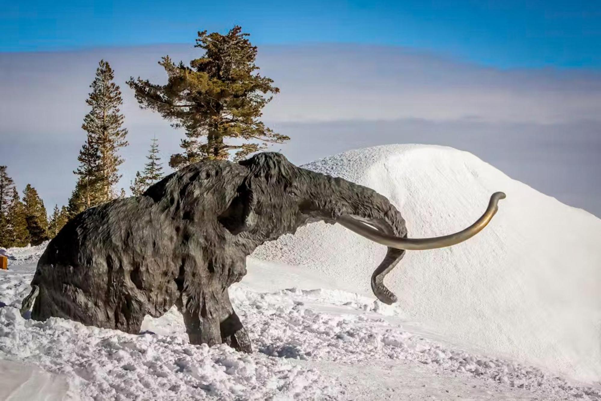 Chateau Sans Nom * Mammoth Lakes